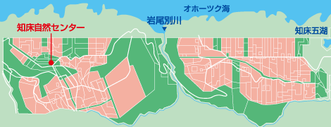 2010年(保全率100%)