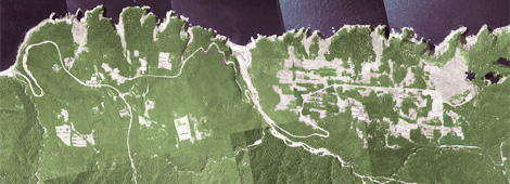 2004年