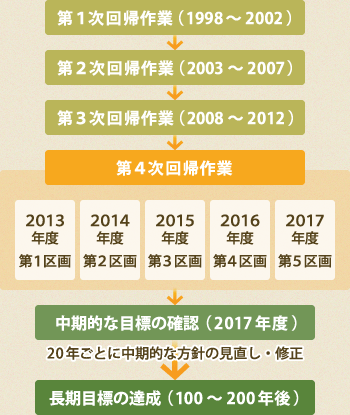 回帰作業の流れ