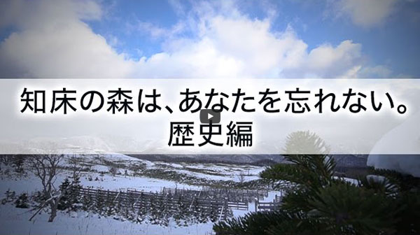知床原生の森を復元する運動の歴史 1