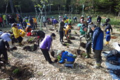 「第29回しれとこ森の集い（植樹祭）」開催のお知らせ　 10月12日（日曜日）