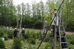 ＼2026春の森づくりボランティア｜募集のお知らせ ／ 満員御礼　受付終了